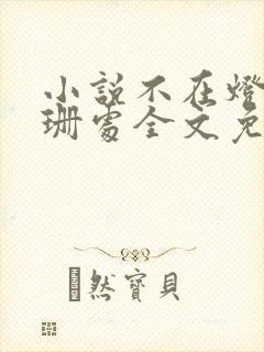 小说不在灯火阑珊处全文免费阅读