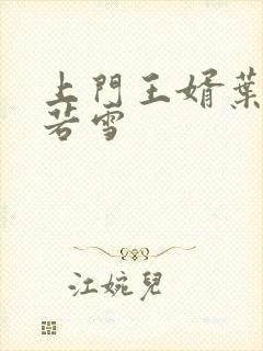 上门王婿叶凡唐若雪