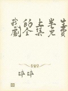 我的上半生电视剧全集免费观看