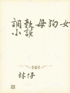 调教母狗女教师小说封面