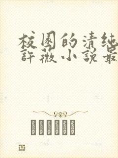 校园的清纯校花许薇小说最新章节列封面