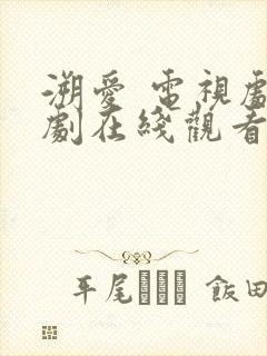 溯爱 电视剧泰剧在线观看封面