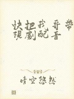 快把我哥带走电视剧配音