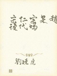 宋仁宗是赵匡胤后代吗