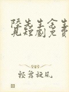 陆先生余生不再见短剧免费封面