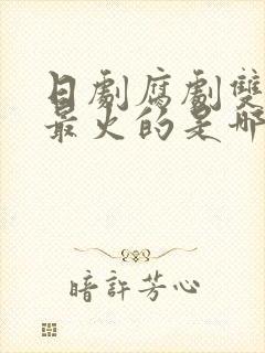 日剧腐剧双男主最火的是哪部剧