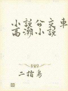 小说公交车被上高潮小说