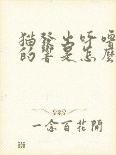 猫发出呼噜呼噜的响是怎么回事封面