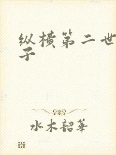 纵横第二世界宽子