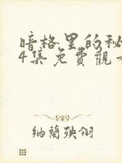 暗格里的秘密24集免费观看