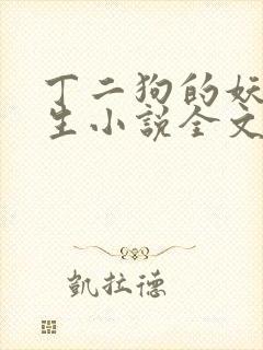 丁二狗的妖孽人生小说全文免费笔趣阁