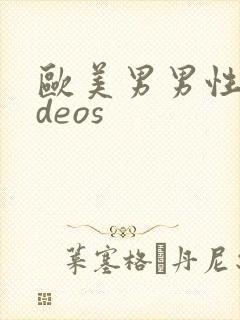 欧美男男性videos