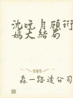 沈晚月顾珩林清嫣大结局