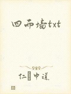 四面墙txt