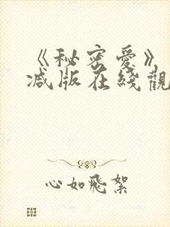 《秘密爱》未删减版在线观看