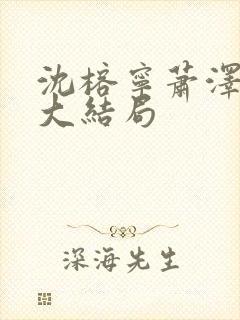 沈榕宁萧泽小说大结局封面