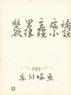 双男主病娇占有欲很强小说封面