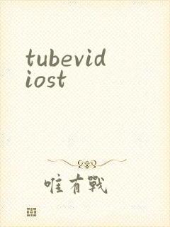 tubevidiost封面