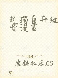 我独自升级漫画爱漫画封面