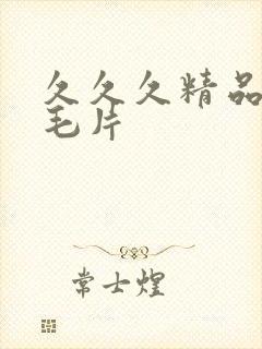 久久久精品国产毛片