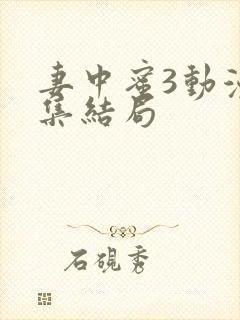 妻中蜜3动漫全集结局
