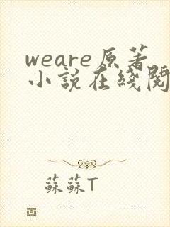 weare原著小说在线阅读