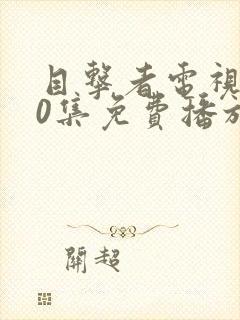 目击者电视剧40集免费播放