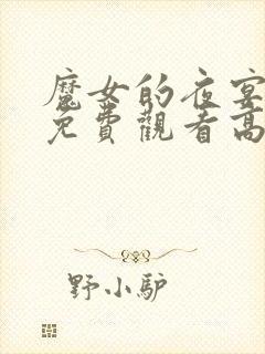 魔女的夜宴动漫免费观看高清封面