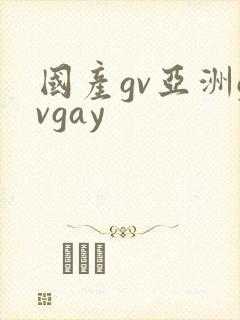 国产gv亚洲gvgay