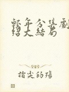 轻年分集剧情介绍大结局封面