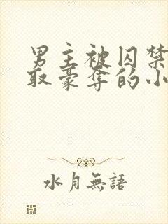 男主被囚禁被强取豪夺的小说封面