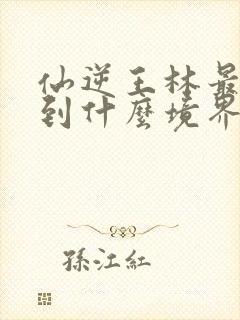 仙逆王林最终达到什么境界