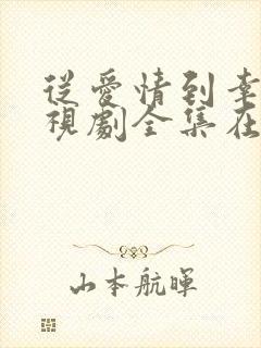 从爱情到幸福电视剧全集在线观看封面
