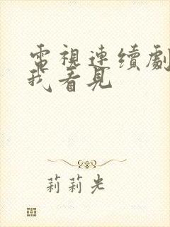 电视连续剧别让我看见