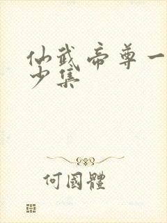 仙武帝尊一共多少集