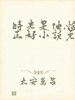 时光是他,恰是正好小说免费阅读