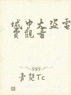 城中大盗电影免费观看