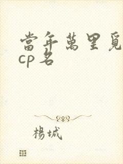 当年万里觅封侯cp名