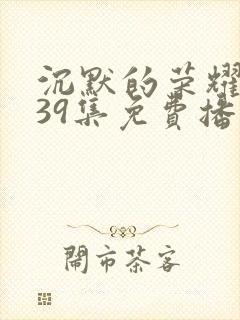 沉默的荣耀1—39集免费播放