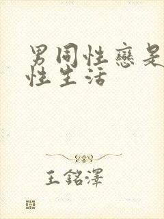 男同性恋是怎么性生活