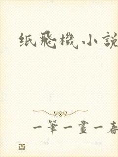纸飞机小说