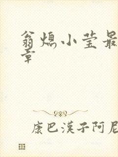 翁熄小莹最新节章