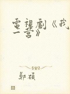 电视剧《我的特一营》封面