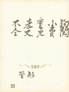 不老实小狗沈渡全文免费阅读最新章