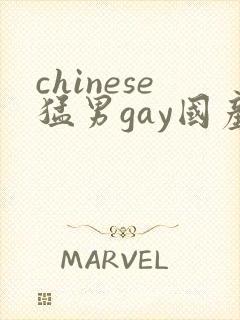 chinese猛男gay国产video网站封面