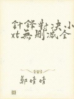 针锋对决小说txt无删减全文封面