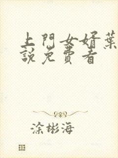 上门女婿叶辰小说免费看