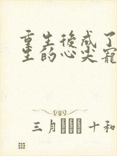 重生后成了陆先生的心尖宠