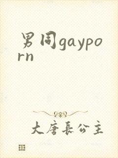 男同gayporn