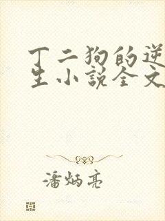 丁二狗的逆袭人生小说全文阅读封面